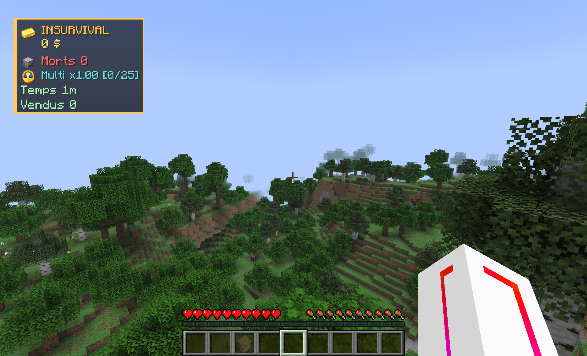 HUD in-game